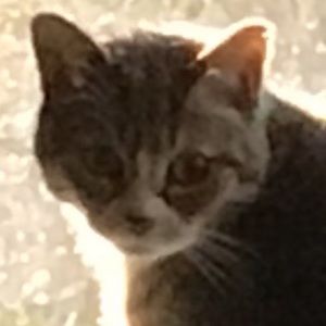 Meet your Posher, Leah